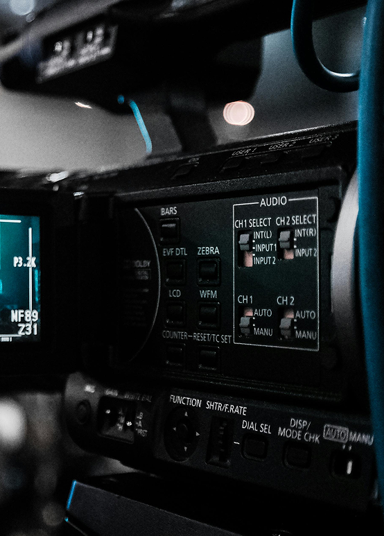 Sed Fringilla - main